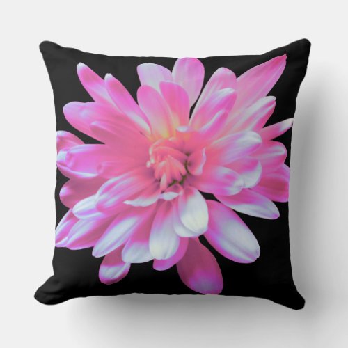 Pink daisy throw pillow