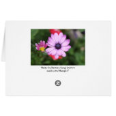 Pink daisy type flower (Back Horizontal)