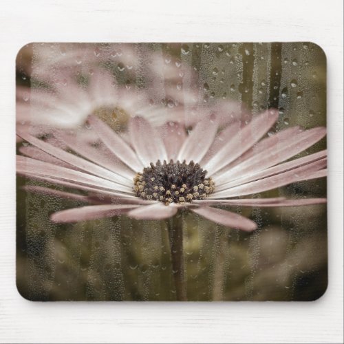 pink daisy with rain on window mouse pad