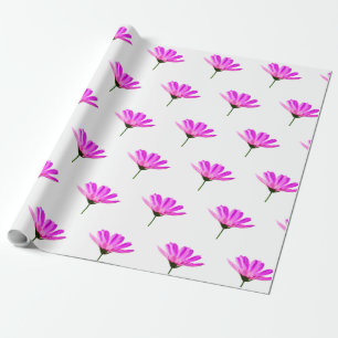 Pink Daisy  Wrapping Paper