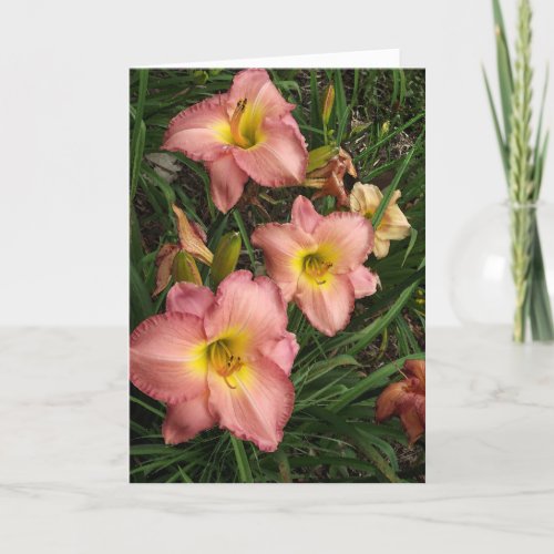 Pink Daylilies Birthday Card for Her