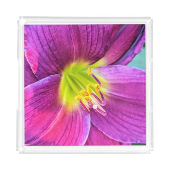 Pink Daylily Bloom Floral Acrylic Tray (Front)