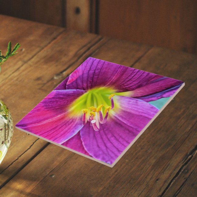 Pink Daylily Bloom Floral Ceramic Tile (In Situ)