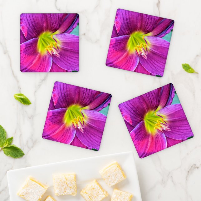 Pink Daylily Bloom Floral Coaster Set (In Situ)