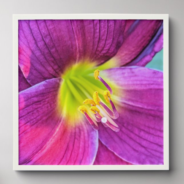 Pink Daylily Bloom Floral Peel And Stick Photo Tile (Front Set)