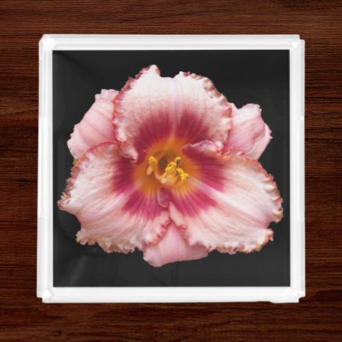 Pink Daylily Bloom on Black Floral Acrylic Tray