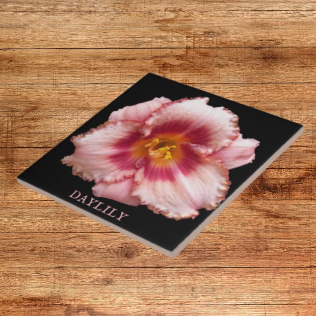 Pink Daylily Bloom on Black Floral Ceramic Tile (In Situ)