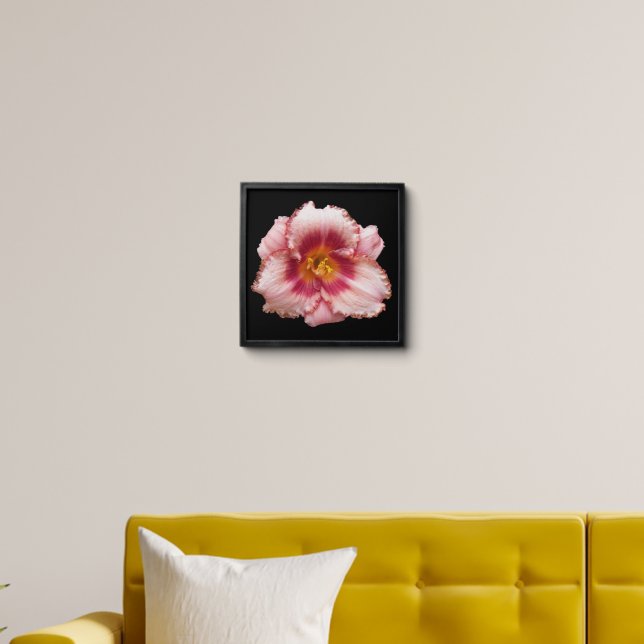 Pink Daylily Bloom on Black Floral Peel And Stick Photo Tile (Living Room)