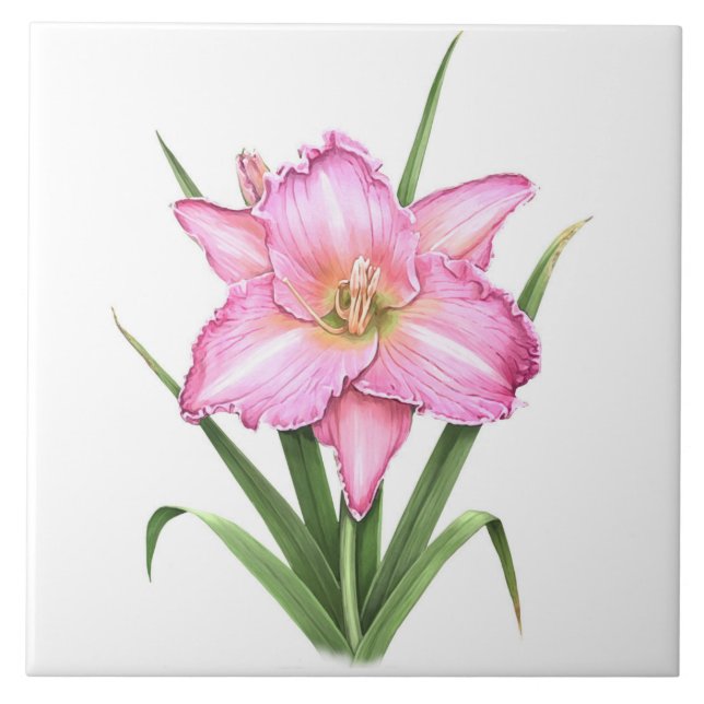 Pink Daylily Flower Botanical Art  Ceramic Tile (Front)