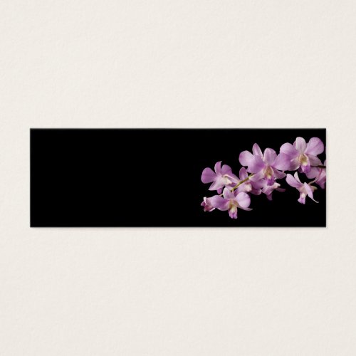 Pink Dendrobium Orchid Flower on Black - Orchids Business Card Templates