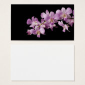 Pink Dendrobium Orchid Flower on Black - Orchids (Front & Back)