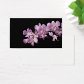Pink Dendrobium Orchid Flower on Black - Orchids (Desk)