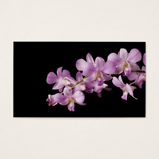 Customizable Pink Dendrobium Orchid Flower on Black - Orchids Business Card Templates