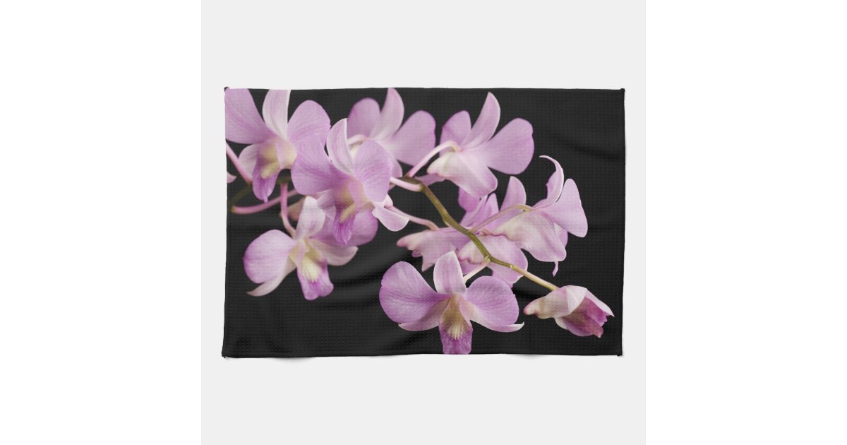 Pink Dendrobium Orchid Flower On Black Orchids Kitchen Towel Zazzle Com
