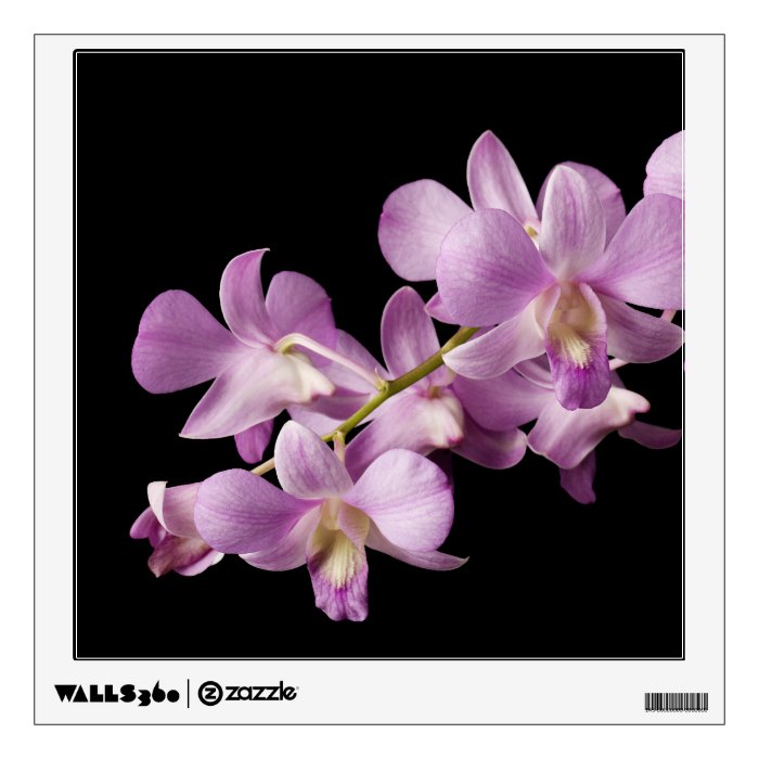 Pink Dendrobium Orchid Flower on Black   Orchids Wall Sticker