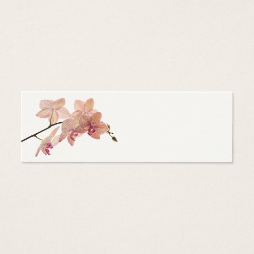 Pink Dendrobium Orchid Flower - Orchids Template Business Cards