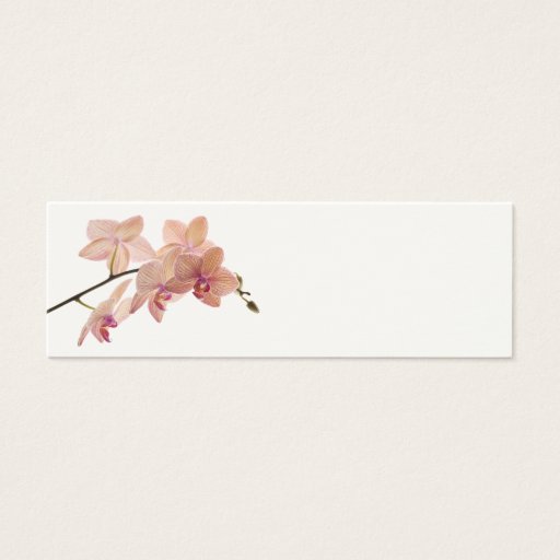 Customizable Pink Dendrobium Orchid Flower - Orchids Template Business Cards