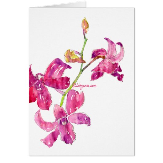 Pink Dendrobium Orchids Watercolor Card (Front)