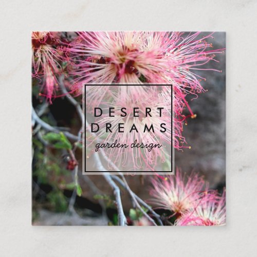 Pink Desert Fairy Duster Wildflower Photo Travel  Square Business Card
