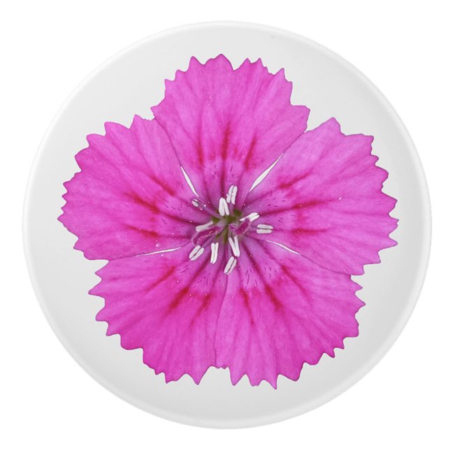 Pink Dianthus Ceramic Knob (Front)