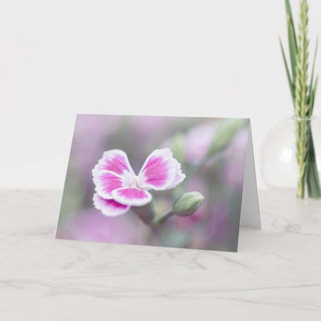 Pink Dianthus Flower Note Card (Front)