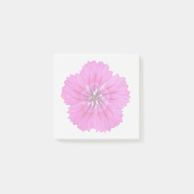 Pink Dianthus Sticky Notes (Front)