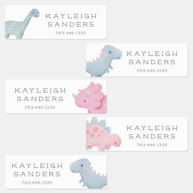 Pink Dinosaurs Kids Labels (Group)