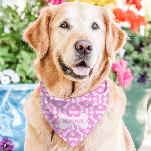 Pink Dog Bones Paw Print Custom Name Pet Bandana Collar