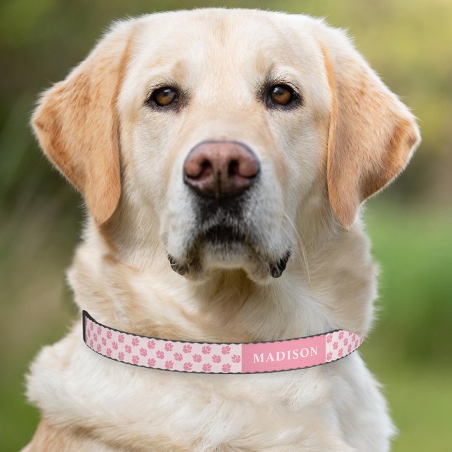 Pink Dog Paw Print Pattern Rosy Girly Dog Paws Pet Collar
