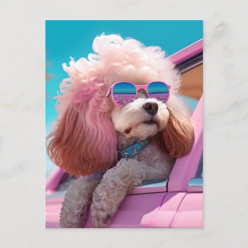 Pink Dog Ride_a_long Postcard