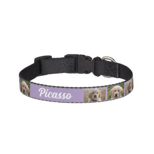 Pink Dog`s Name 2 Photos  Pet Collar