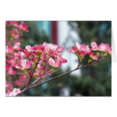Pink Dogwood (Front Horizontal)