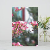 Pink Dogwood (Standing Front)