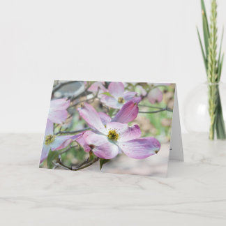 Pink Dogwood Blossoms Christian Note Card 