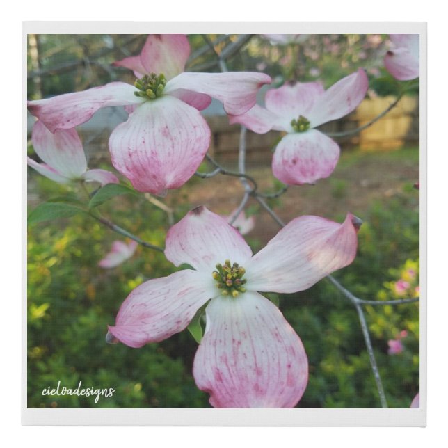 Pink Dogwood Flower Faux Canvas Print (Front)
