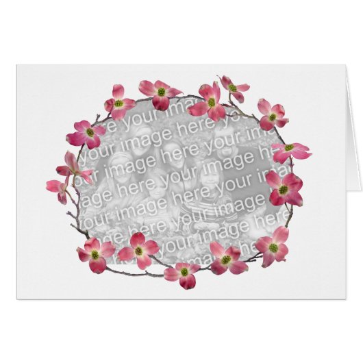 Pink Dogwood Flowers Cards (Front Horizontal)