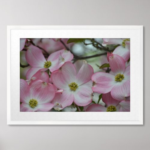 Pink Dogwood Flowers Framed Art
