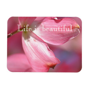Pink Dogwood Flowers Magnet