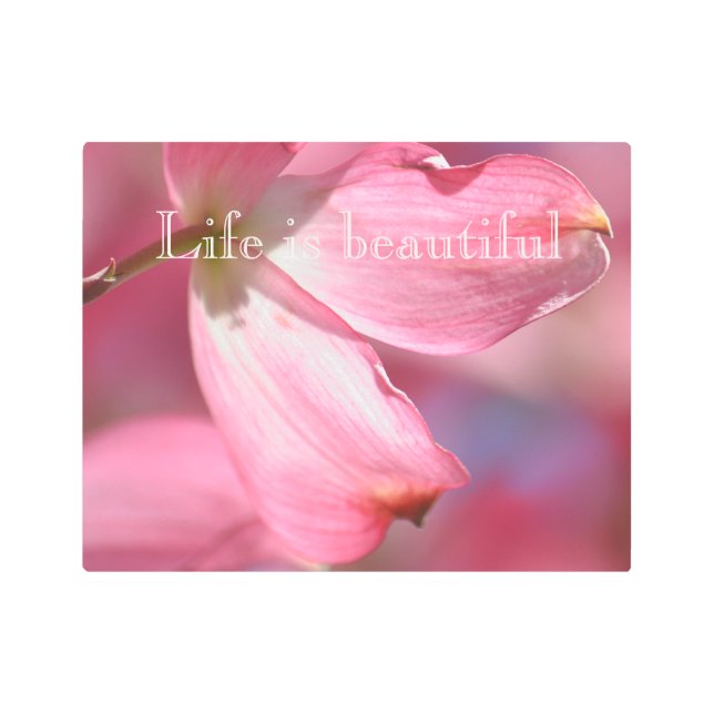 Pink Dogwood Flowers Metal Print (Front)