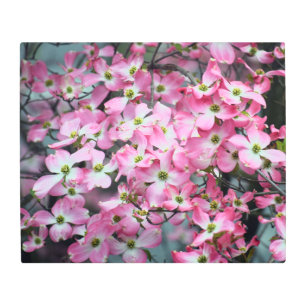 Pink Dogwood Metal Wall Art