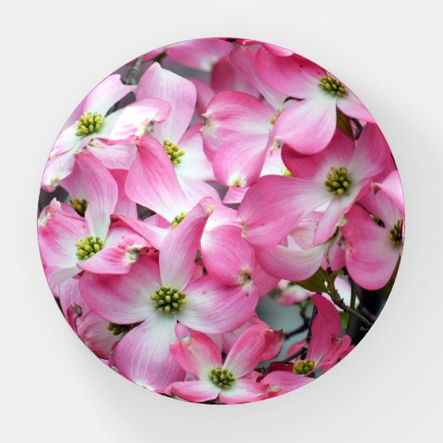 Pink Dogwood Paperweight (Front)