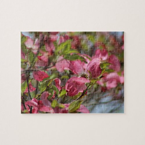 Pink Dogwood Tree in Bloom in Spring Jigsaw Puzzle