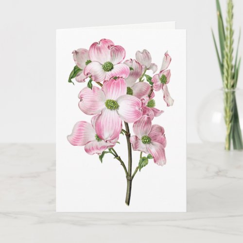 Pink Dogwood Vintage Blank Greeting Card