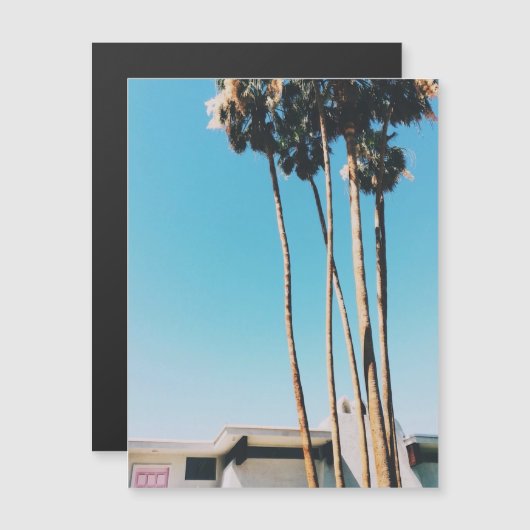 Pink Door Of Palm Springs Magnet (Front/Back)