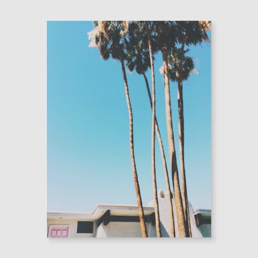 Pink Door Of Palm Springs Magnet (Front)