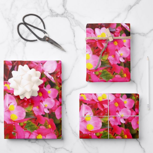 Pink Droplets Of Spring, Begonia,  Wrapping Paper Sheets (Front)