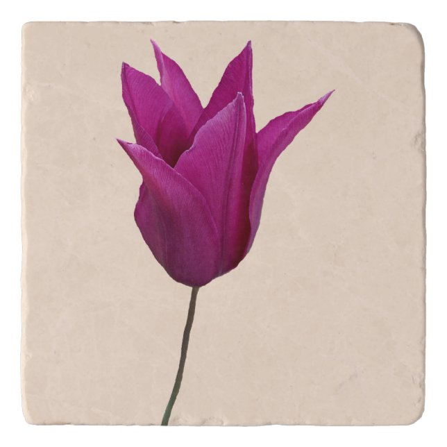 Pink Dutch tulip flower ceramic  Trivet (Front)