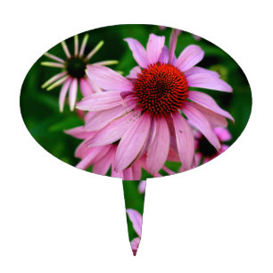 pink echinacea cake pick
