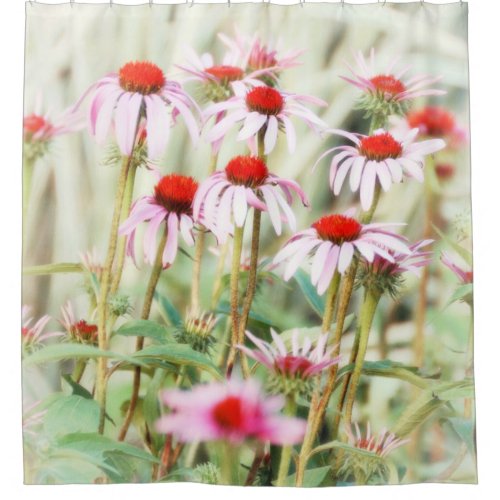 Pink Echinacea Cone Flowers Vintage Look Photo Shower Curtain