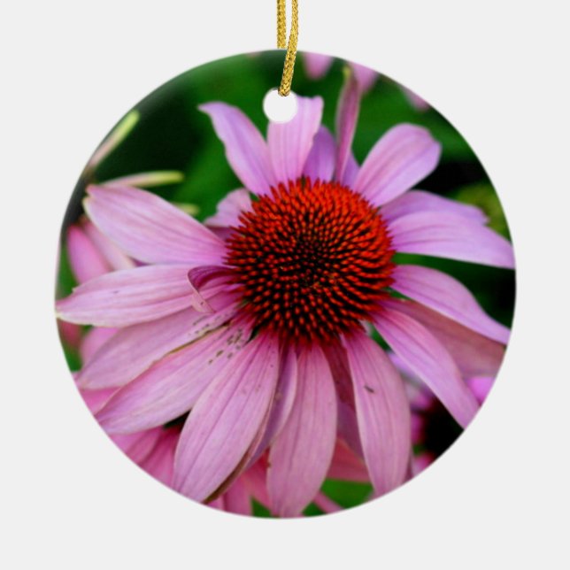 pink echinacea flower ornament (Front)